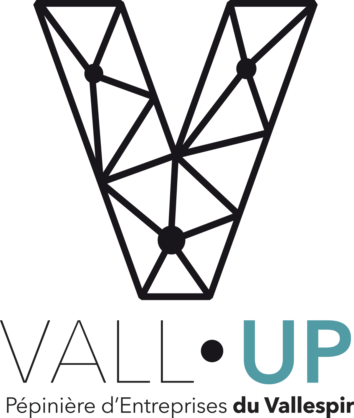 logo vallup