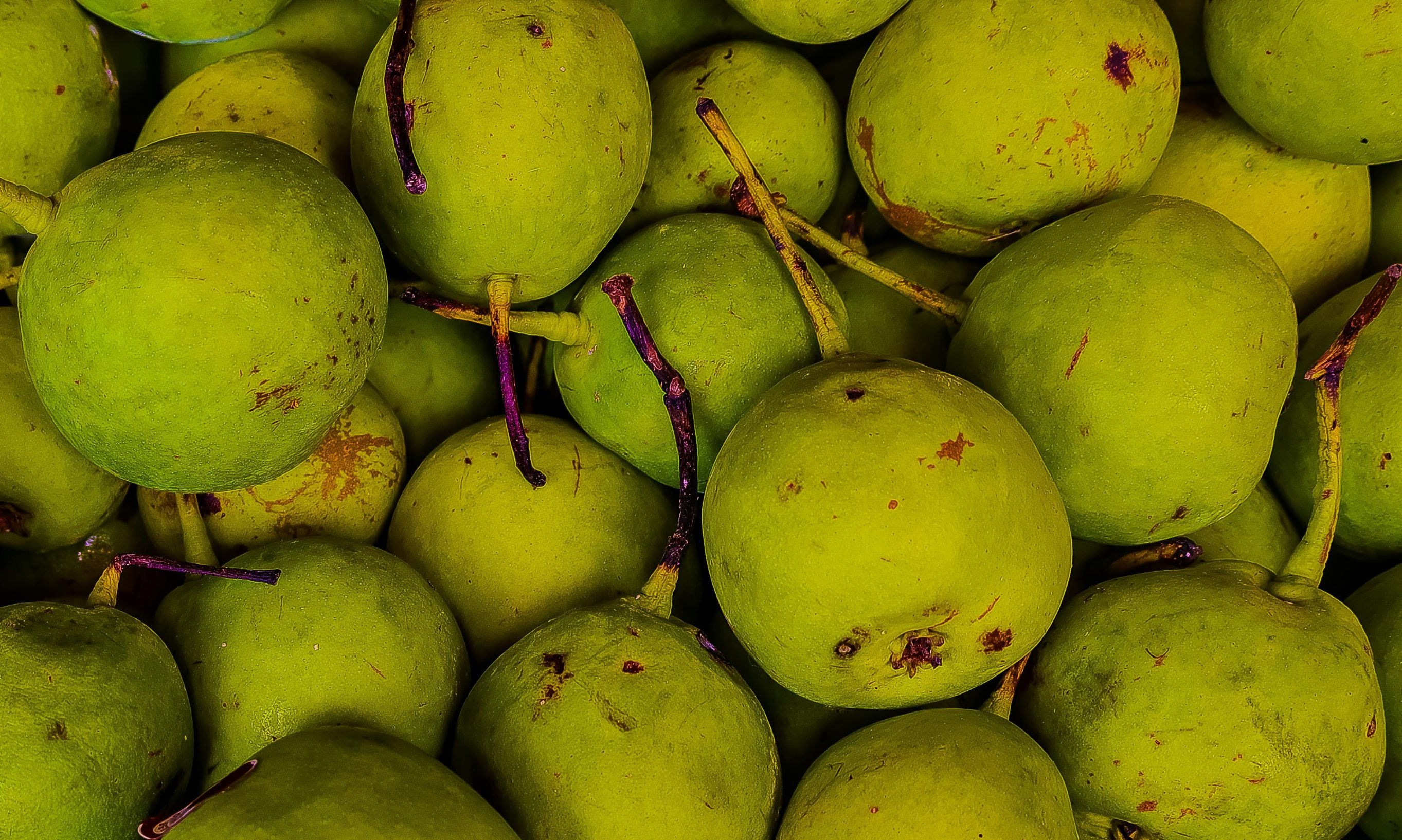 Des poires « origine France »… venant de Belgique : ce que révèle un cas récent de francisation
